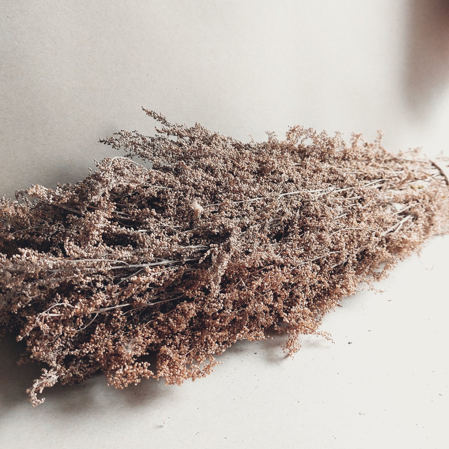 Bundel gedroogd rata lavender lavendel vergrijsd decoratie tak