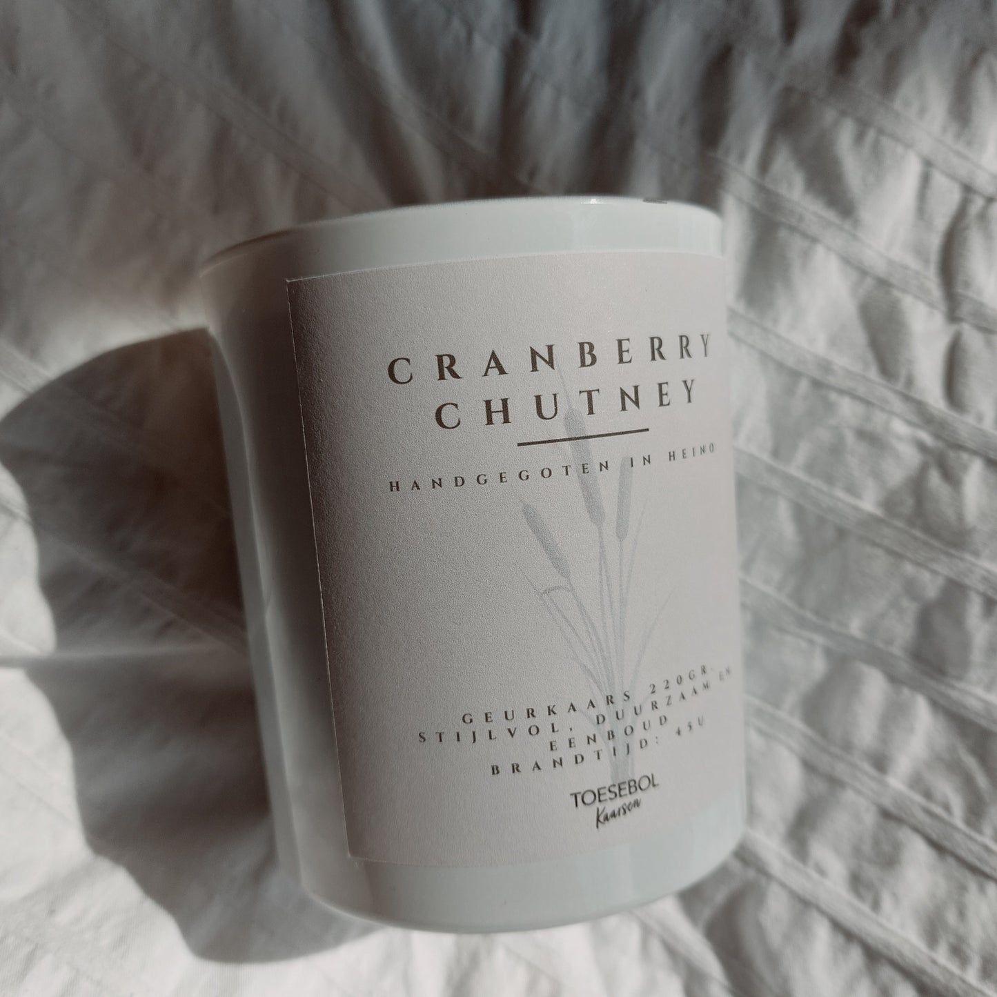 Cranberry chutney