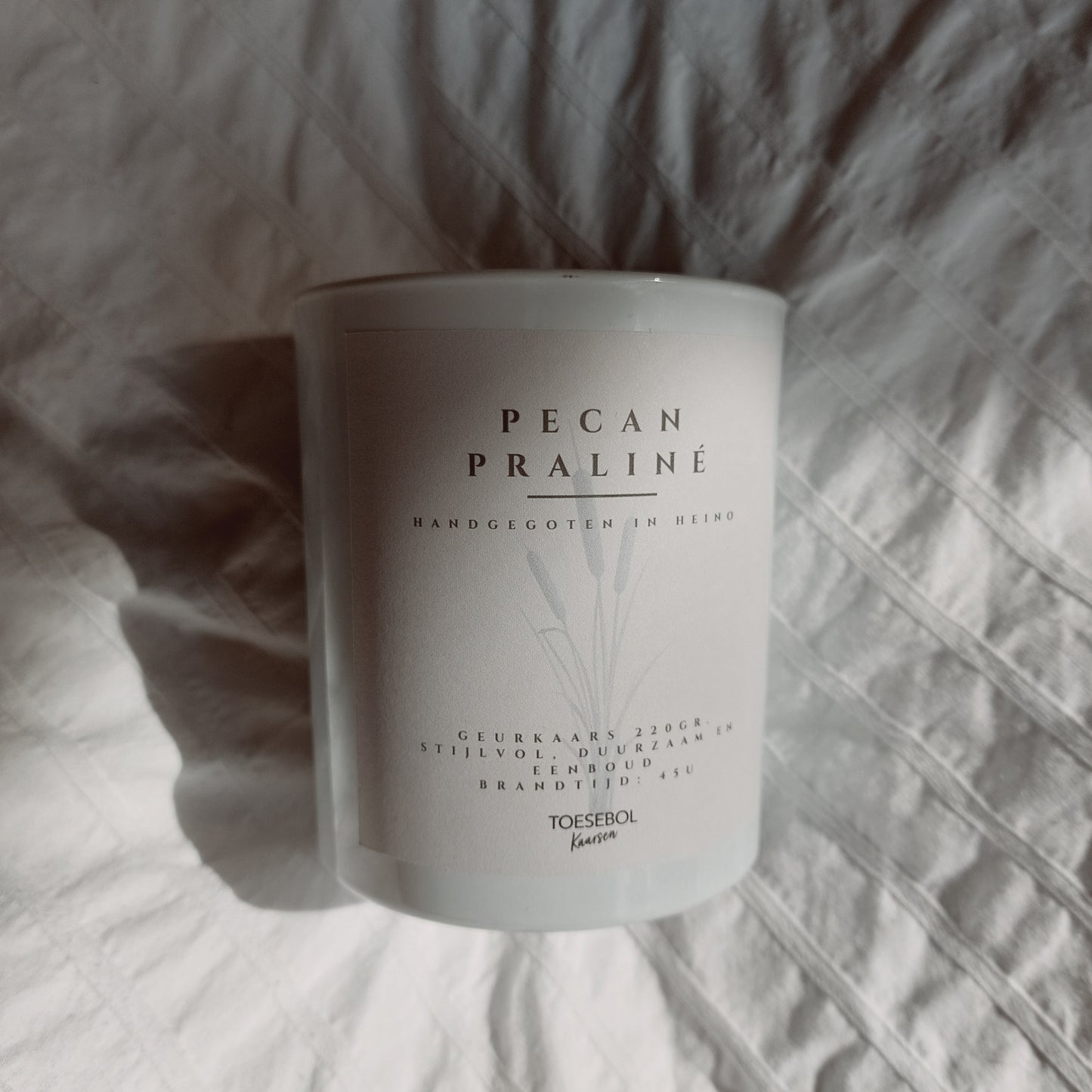 Pecan Praliné