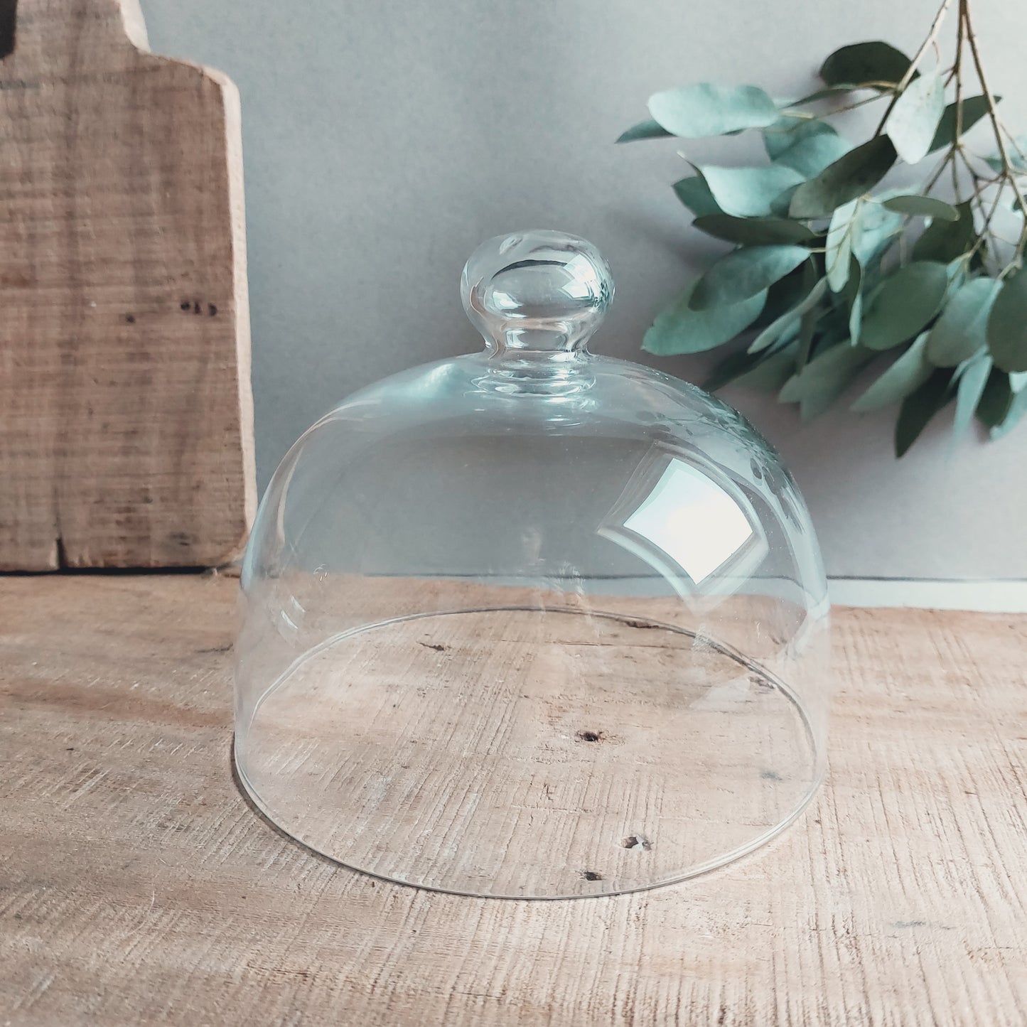 Glazen stolp cover