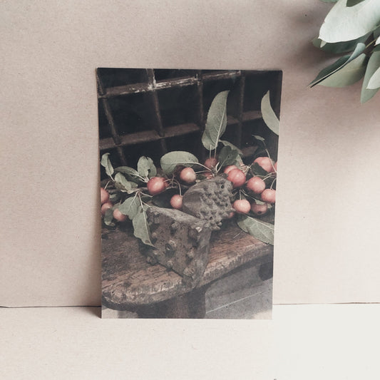 Kaart houten bankje appeltjes
